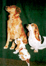 butter3s.gif (26632 bytes)